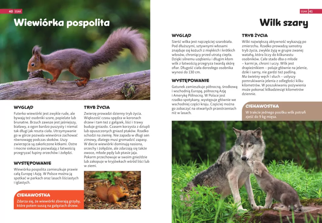 Encyklopedia zwierząt dla dzieci - tantis.pl