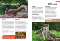 Encyklopedia zwierząt dla dzieci - tantis.pl