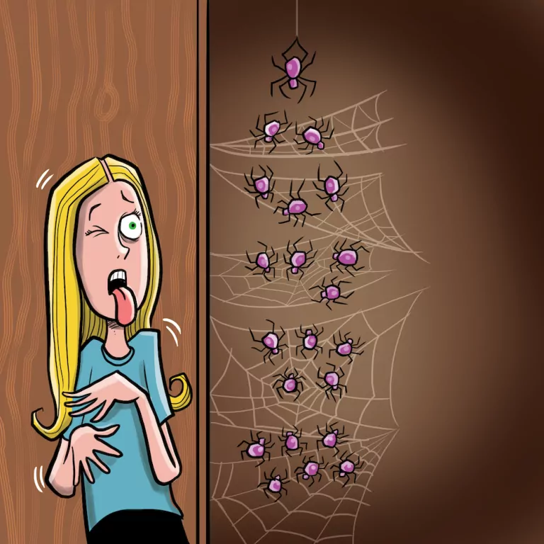 BrainBox. Matematyka. Druga edycja - tantis.pl