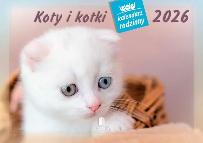 Kalendarz 2026 rodzinny Koty i kotki - tantis.pl
