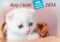 Kalendarz 2026 rodzinny Koty i kotki - tantis.pl
