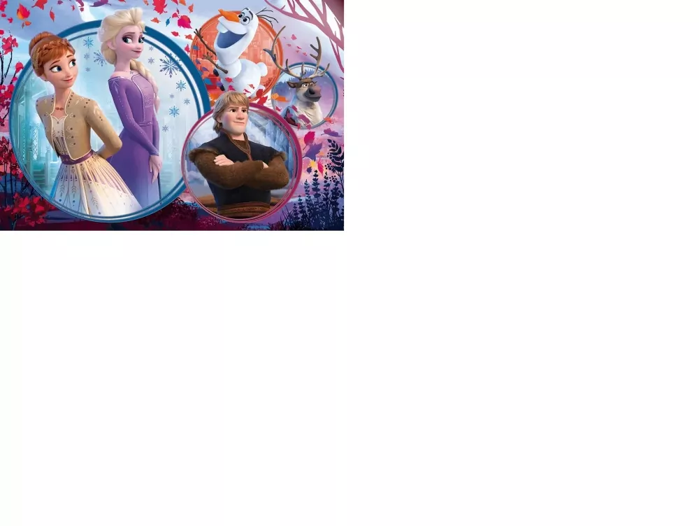 Puzzle 160. Disney. Frozen II. Siostrzana przygoda - tantis.pl