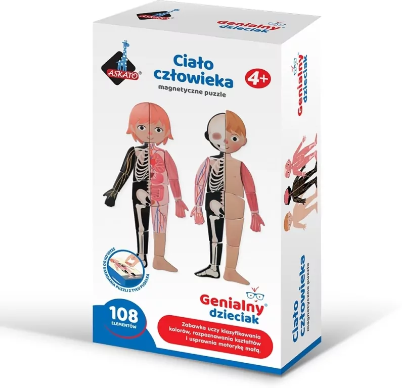 Puzzle magnetyczne ciało człowieka - tantis.pl