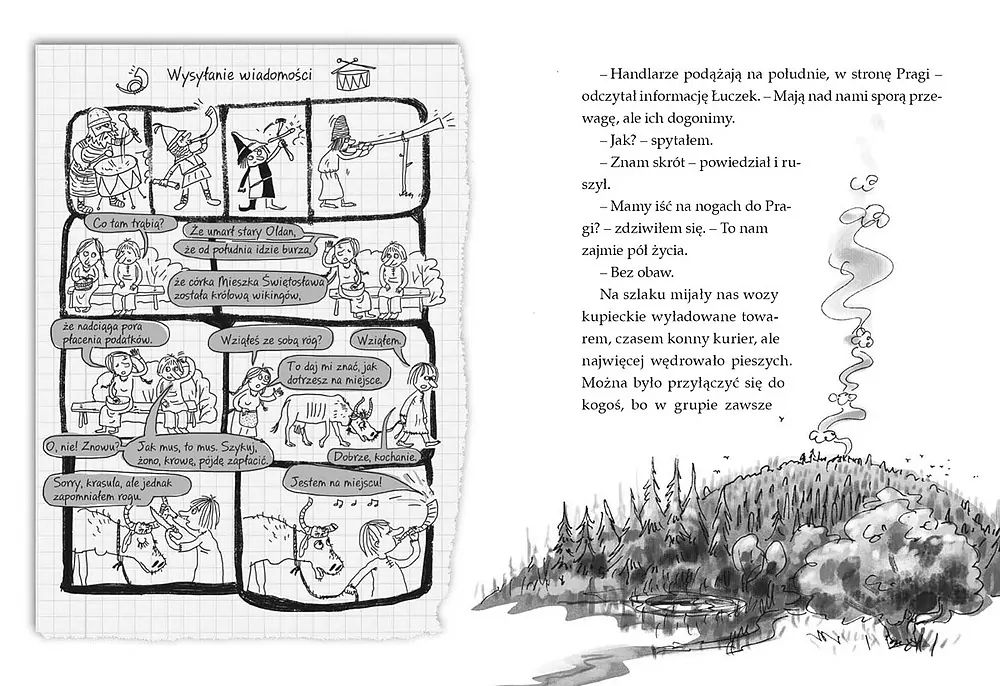 Ale historia... Mieszko, ty wikingu! - tantis.pl