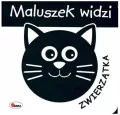Maluszek widzi zwierzątka - tantis.pl