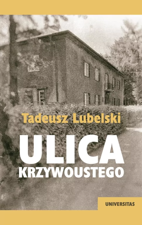 Ulica Krzywoustego - tantis.pl
