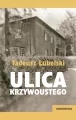 Ulica Krzywoustego - tantis.pl