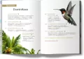 Dominikana - tantis.pl