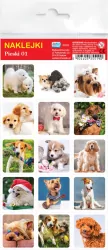 Naklejki. Pieski. Wydawnictwo Jako