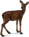 Łania - tantis.pl