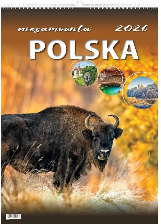 Kalendarz 2026 wieloplanszowy niesamowita Polska - tantis.pl