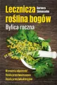 Lecznicza roślina bogów. Bylica roczna - tantis.pl