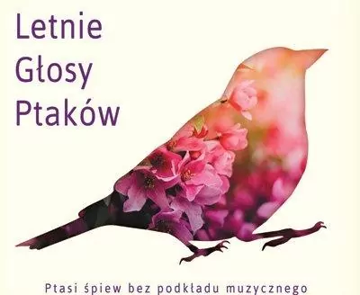 Letnie głosy ptaków. CD - tantis.pl