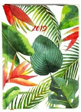 Kalendarz tygodniowy B6 2019 Liście ALBI - tantis.pl