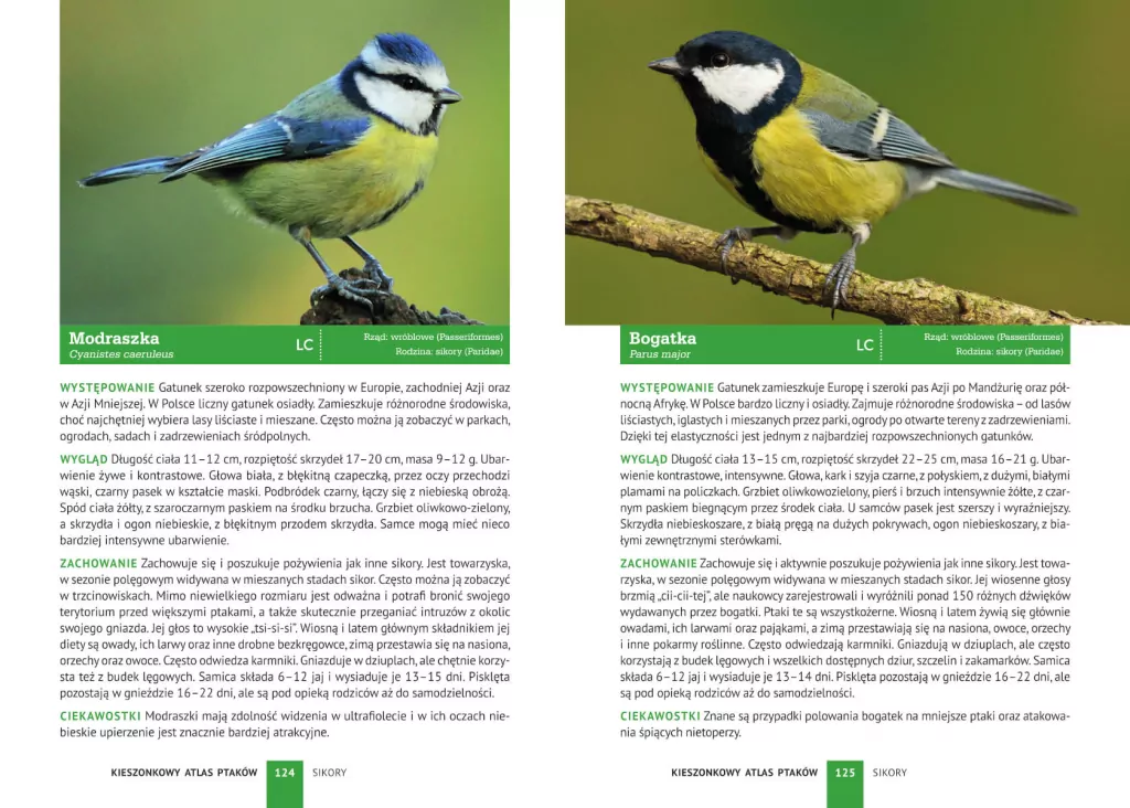 Kieszonkowy atlas ptaków. 180 gatunków - tantis.pl