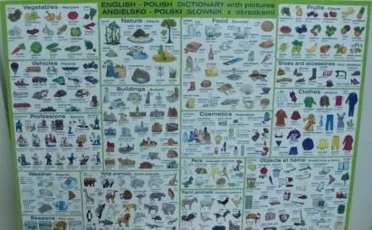 Słownik planszowy oklejany polsko-angielski. - tantis.pl