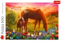 Konie na łące. Puzzle 500 elementów - tantis.pl