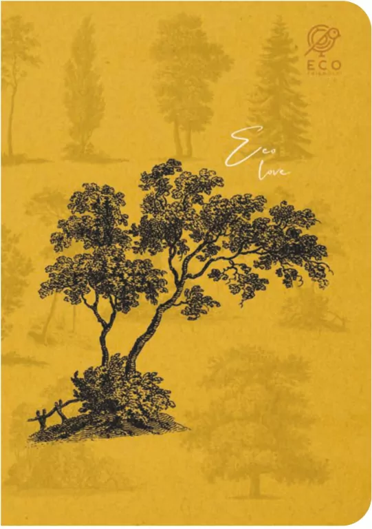 Zeszyt A5/80K kratka By Nature - Forrest - tantis.pl