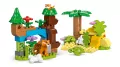 LEGO® Rodziny dzikich zwierząt 3 w 1 10446 - tantis.pl