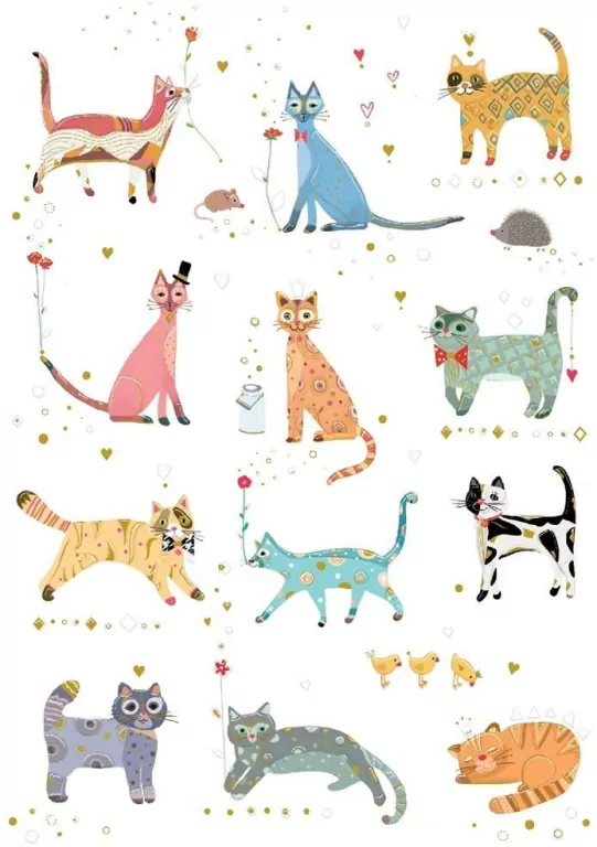 Karnet B6 + koperta: Kotki - tantis.pl