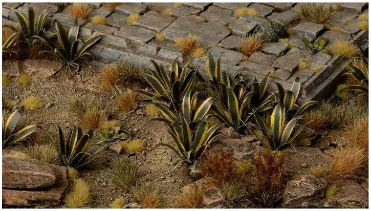 Gamers Grass: Laser Plants - Agave - Agawa - tantis.pl