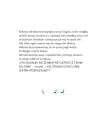 Kaktus - tantis.pl