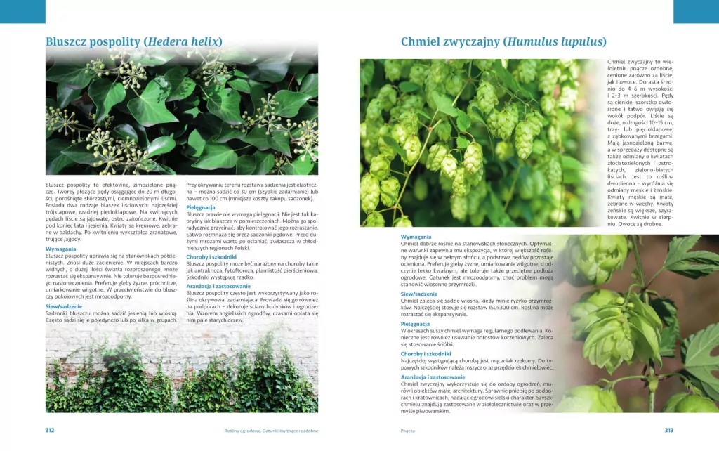 Rośliny ogrodowe. Gatunki kwitnące i ozdobne - tantis.pl