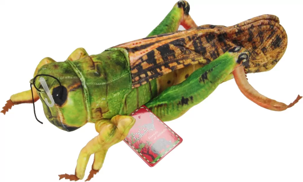 Konik polny 41cm - tantis.pl