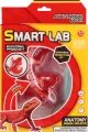 ZEST NAUKOWCA ANATOMIA JASZCZURKA 20X30X5 MC 48 - tantis.pl
