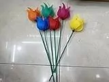 Tulipan 45cm MIX - tantis.pl