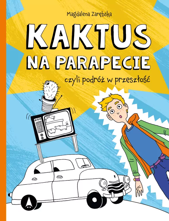 Kaktus na parapecie - tantis.pl