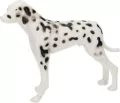 Figurki psy 23x27x3, mix - tantis.pl