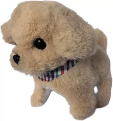 Twój pupilek piessek