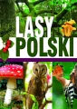 Lasy Polski - tantis.pl