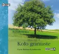 Koło graniaste. Saga. Część 3. Audiobook - tantis.pl