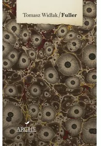 Fuller. horyzonty filozofii prawa - tantis.pl