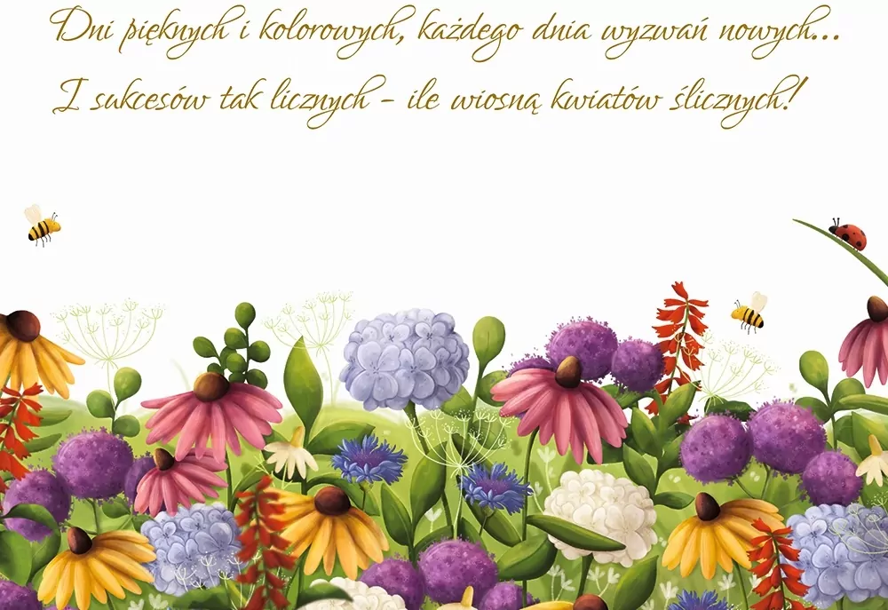 Karnet A5 Bukiet Kolor - tantis.pl