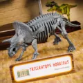 Laboratorium Paleontologii. I'm a genius - tantis.pl