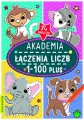 Książka Akademia łączenia liczb 1-100 Plus. Books and fun - tantis.pl