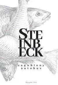 Zagubiony autobus - tantis.pl