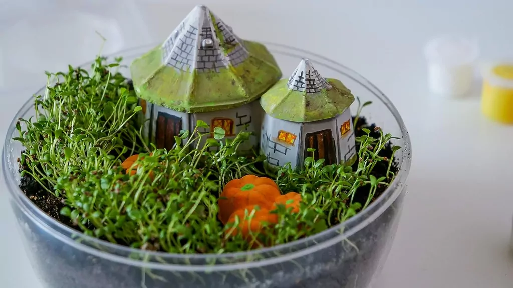 Harry Potter. Terrarium. 19248 - tantis.pl