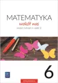 Matematyka Wokół nas SP 6/2 ćw. 2019 WSiP - tantis.pl