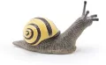 Ślimak Wstężyk gajowy - tantis.pl