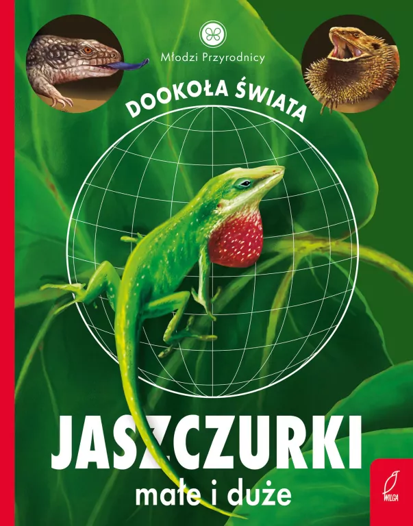 Jaszczurki małe i duże. Młodzi przyrodnicy. Dookoła świata - tantis.pl