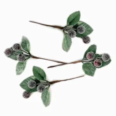 Szronione gałązki z jagodami bordo