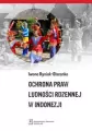 Ochrona praw ludności rdzennej w Indonezji - tantis.pl