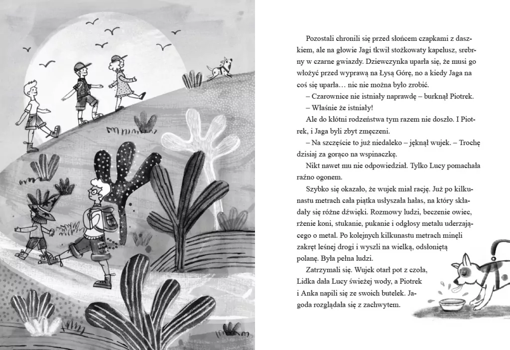 Zagadka Łysej Góry. Detektywi z Tajemniczej 5 kontra duchy. Tom 5 - tantis.pl