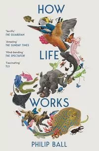 How Life Works - tantis.pl