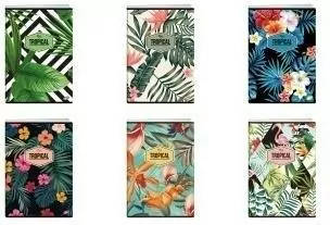 Zeszyt Tropical. A4/80K kratka. 10 sztuk - tantis.pl