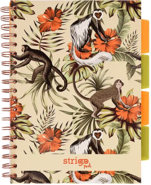Kołozeszyt Pads B5/100K kratka Tropiki Małpki - tantis.pl